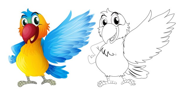 Coloring pages : Birds
